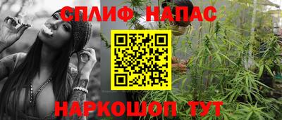 гашик Донской