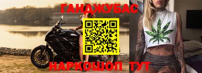 гашик Донской