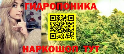 гашик Донской