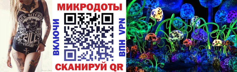 Псилоцибиновые грибы Psilocybine cubensis  Изобильный 