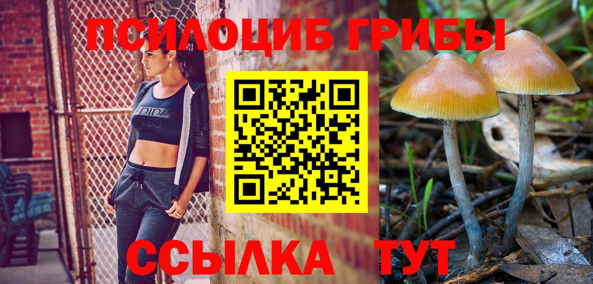 Изобильный  Галлюциногенные грибы мухоморы  магазин    Вход с VPN  Галлюциногенные грибы Magic Shrooms 